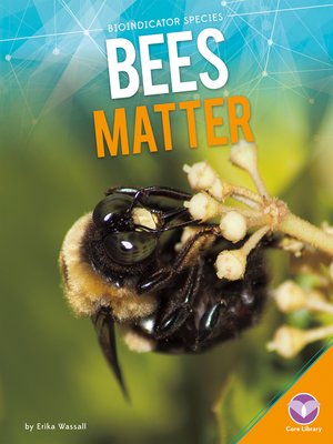 cover image of Bees Matter